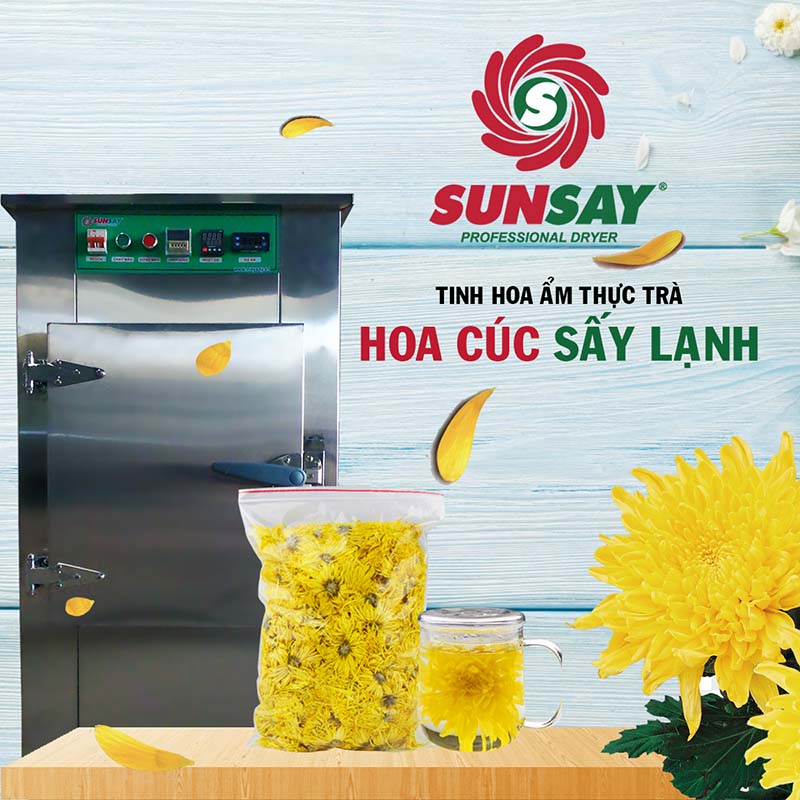 Hoa cúc sấy lạnh bằng máy sấy SUNSAY