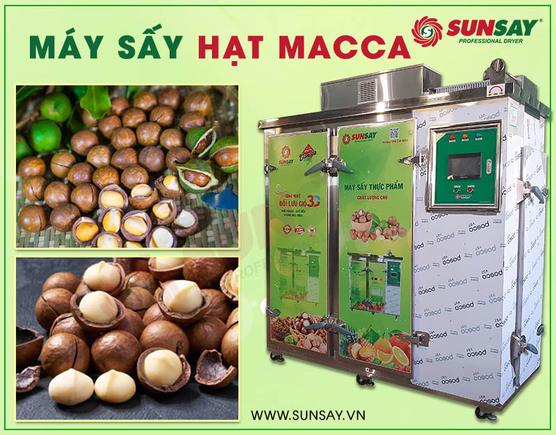 Hạt macca sấy khô