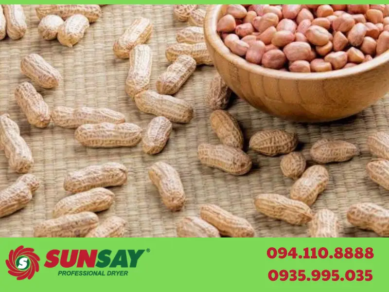 Máy sấy đậu phụng chất lượng cao