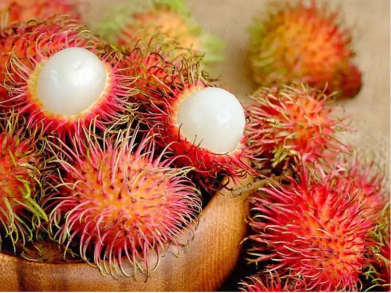 Cách lựa trái cây tươi và ngon để làm trà trái cây sấy detox