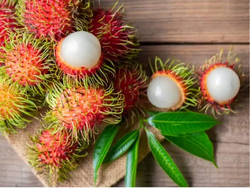 Chọn nguyên liệu kỉ trước khi chế biến