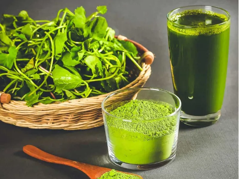 Bột rau má được sấy bằng máy sấy bột ngũ cốc