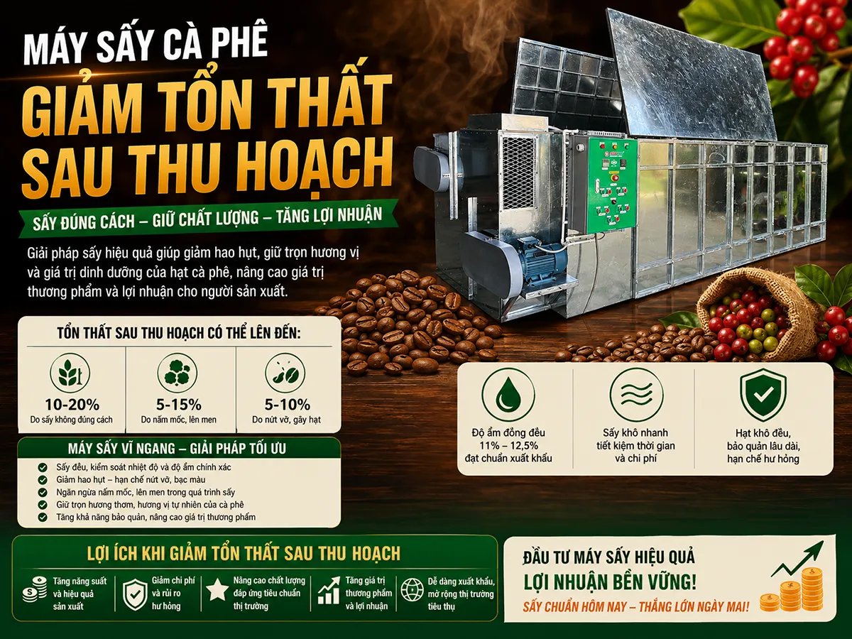 Máy sấy cà phê giảm tổn thất sau thu hoạch là giải pháp hiệu quả giúp nông dân bảo vệ chất lượng hạt cà, hạn chế rủi ro do thời tiết và nâng cao giá trị mùa vụ