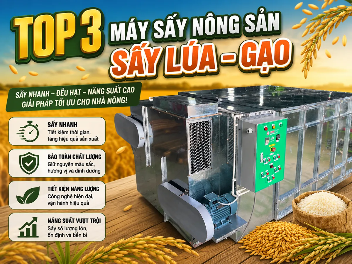 Khám phá TOP 3 máy sấy vĩ ngang sấy lúa gạo hiện đại nhất, giúp nông dân giảm hao hụt