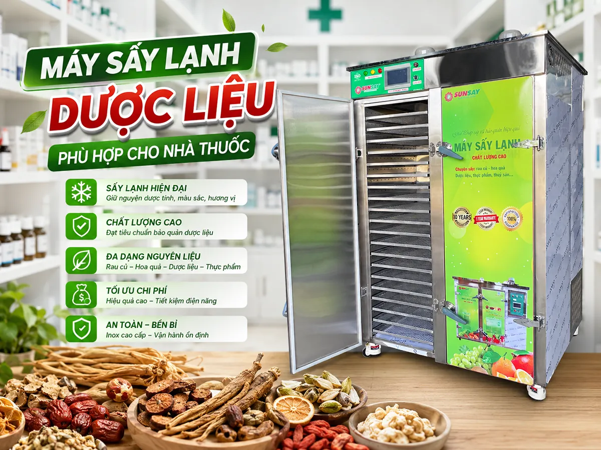 Máy sấy lạnh dược liệu là giải pháp hiện đại giúp giữ nguyên dược tính và chất lượng của thảo mộc sau khi sấy khô