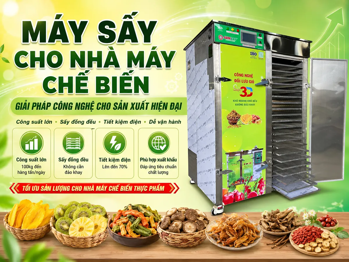 Máy sấy dành riêng cho nhà máy chế biến cần đáp ứng các tiêu chuẩn khắt khe về công suất, độ bền và khả năng giữ nguyên chất lượng thực phẩm sau sấy