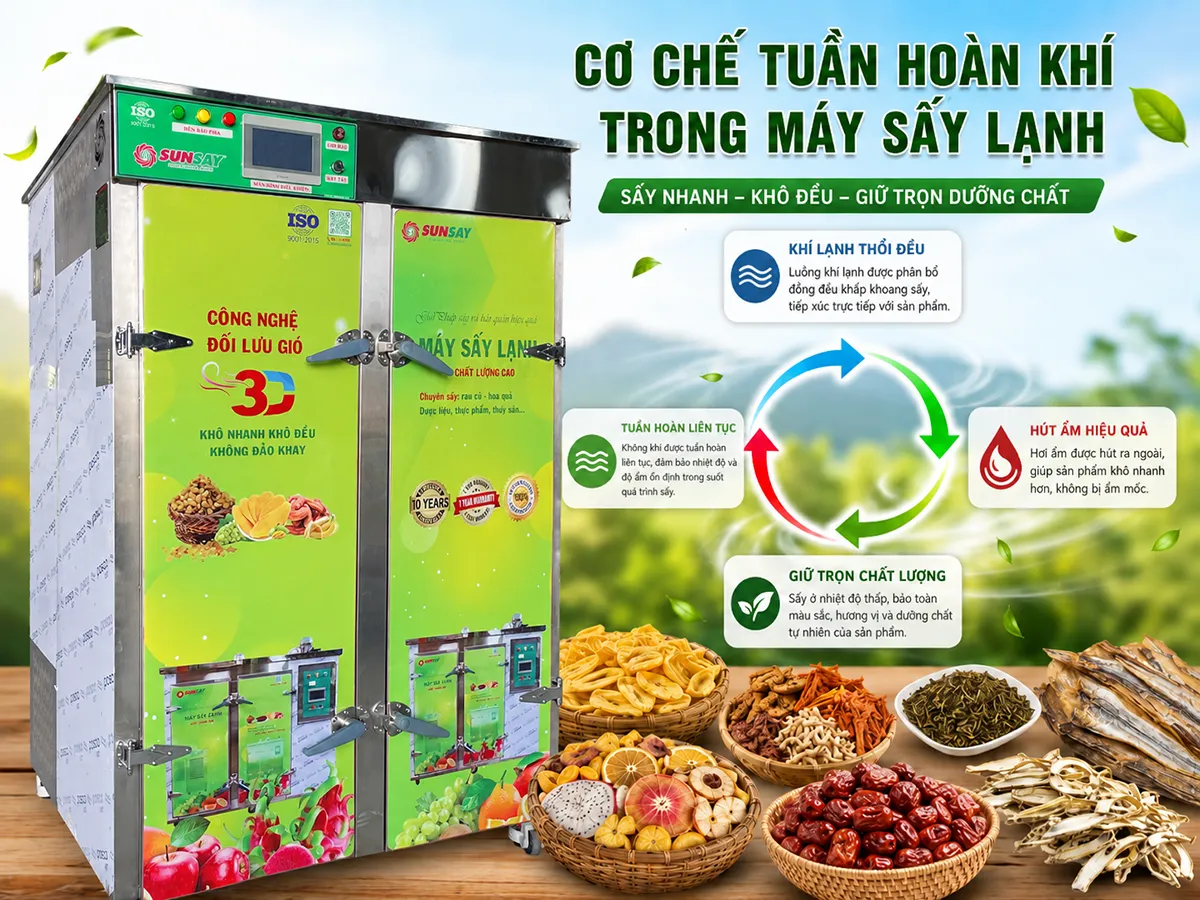 Cơ chế tuần hoàn khí trong máy sấy lạnh giúp duy trì môi trường sấy ổn định, từ đó bảo toàn hương vị và giá trị dinh dưỡng tự nhiên của nông sản