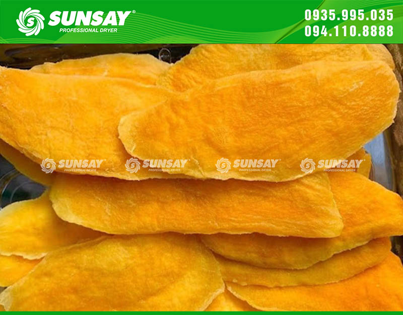 Những lát xoài sấy lạnh vàng ươm được sấy bởi máy sấy SUNSAY nâng tầm chất lượng nông sản Việt