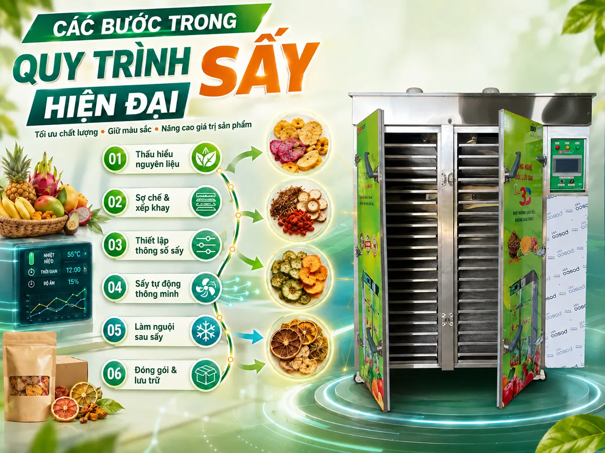 Các bước trong quy trình sấy hiện đại đóng vai trò then chốt trong việc đảm bảo sản phẩm sau sấy giữ nguyên hương vị, màu sắc và giá trị dinh dưỡng tự nhiên