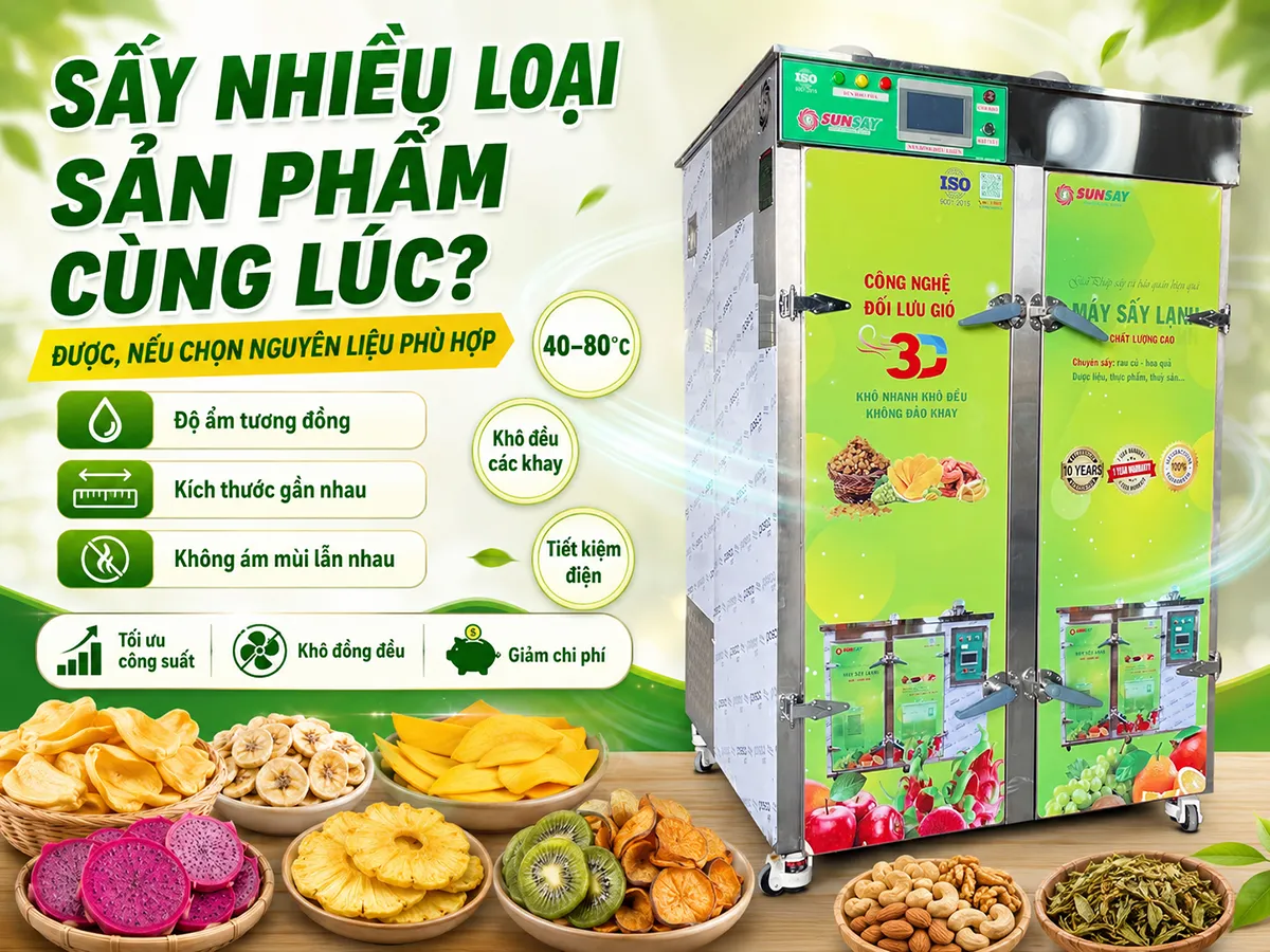 Máy sấy lạnh bảo quản dược liệu lâu dài là giải pháp tối ưu giúp giữ nguyên dược tính, màu sắc và hương thơm tự nhiên của thảo dược trong suốt quá trình lưu trữ và phân phối