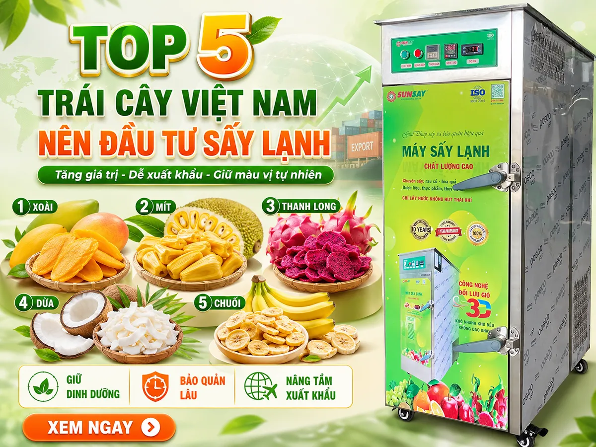Top 5 trái cây Việt Nam nên đầu tư sấy lạnh không chỉ giúp nâng cao giá trị sản phẩm mà còn mở rộng cơ hội xuất khẩu ra các thị trường quốc tế khó tính