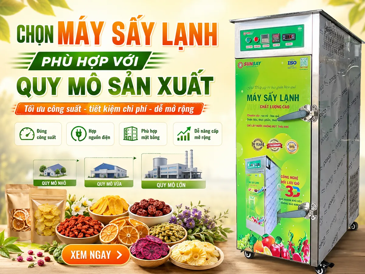 Để đạt hiệu quả cao trong chế biến và tiết kiệm chi phí vận hành, việc chọn máy sấy lạnh phù hợp với quy mô sản xuất là bước đầu tiên quan trọng mà mỗi cơ sở cần xác định rõ ràng