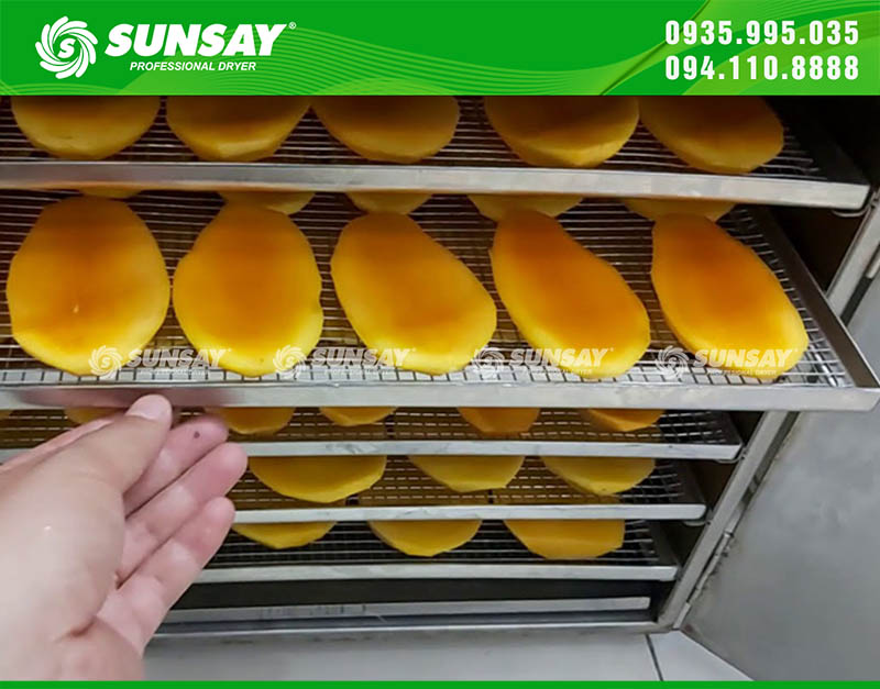 Xoài được cắt lát vừa xếp đều lên khay sấy