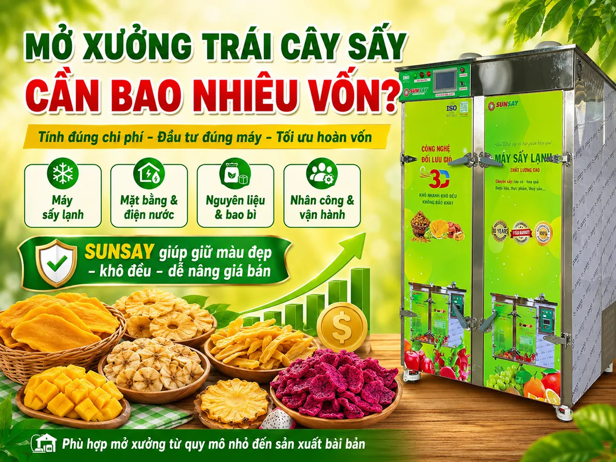 Mở xưởng trái cây sấy cần bao nhiêu vốn phụ thuộc vào quy mô, công nghệ và định hướng sản phẩm ngay từ đầu.