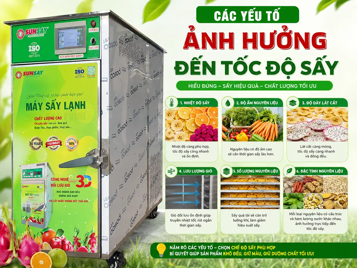 Các yếu tố ảnh hưởng đến tốc độ sấy gồm độ ẩm nguyên liệu, nhiệt độ, độ dày sản phẩm, lưu thông khí và khối lượng mỗi mẻ.