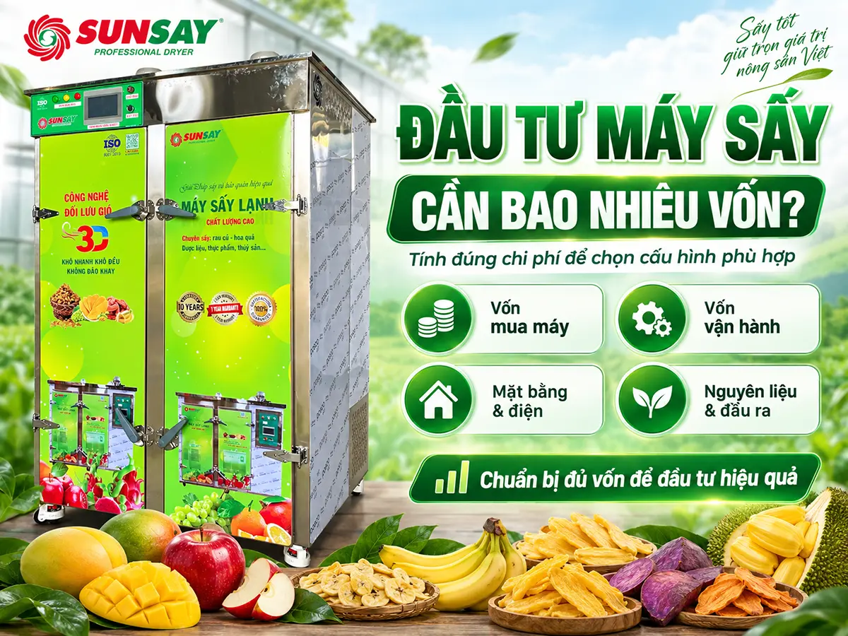 Đầu tư máy sấy cần bao nhiêu vốn? Tính cả tiền thiết bị, hạ tầng và vốn vận hành trước khi quyết định.