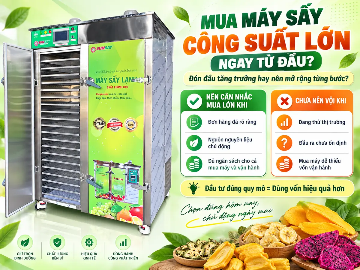 Có nên mua máy sấy công suất lớn ngay từ đầu? Cân nhắc nhu cầu thực tế trước khi đầu tư cho kế hoạch mở rộng.vCó nên mua máy sấy công suất lớn ngay từ đầu? Cân nhắc nhu cầu thực tế trước khi đầu tư cho kế hoạch mở rộng.