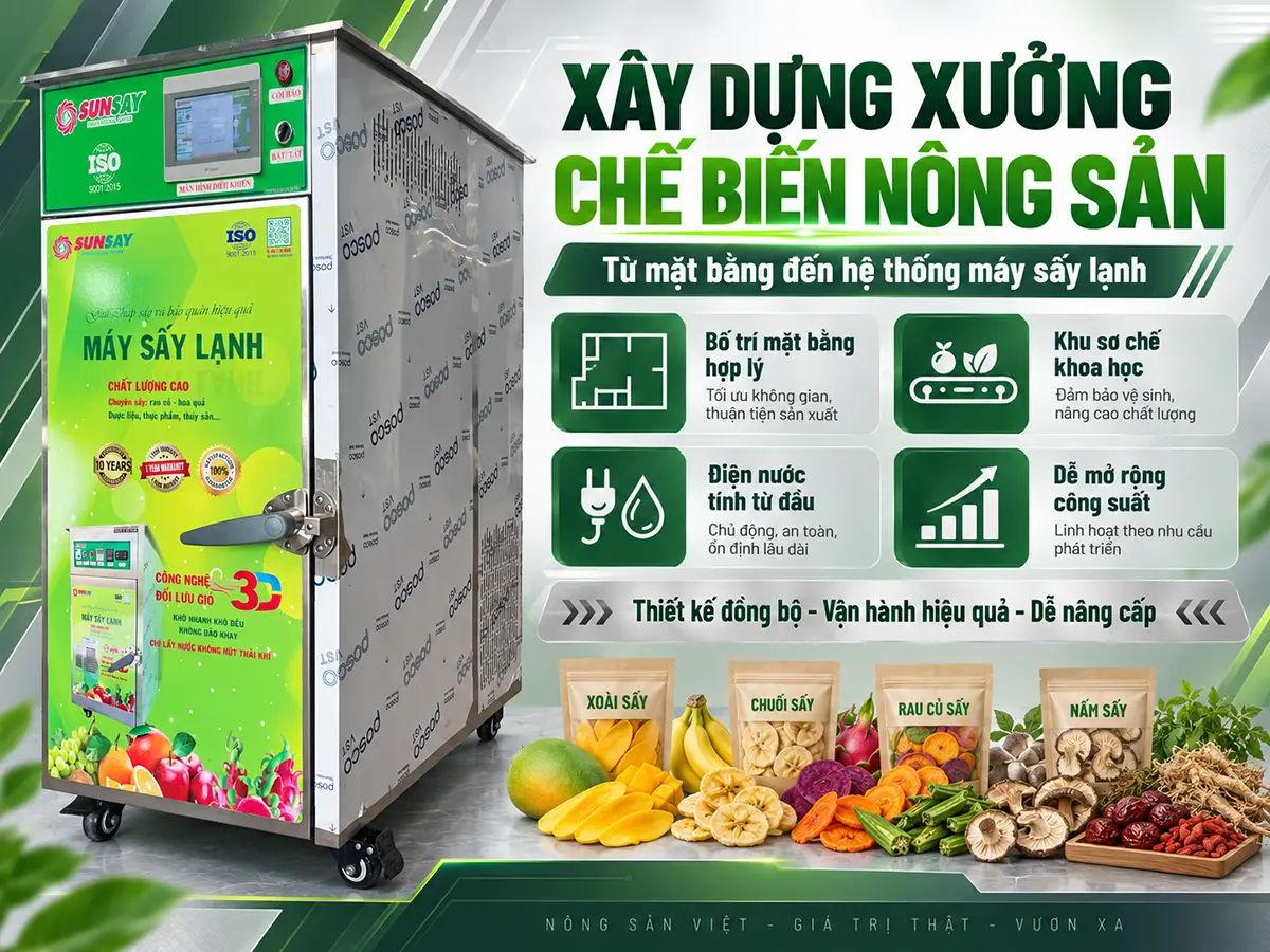 Xây dựng xưởng chế biến nông sản cần tính đồng bộ mặt bằng, điện, nước và thiết bị ngay từ giai đoạn thiết kế.