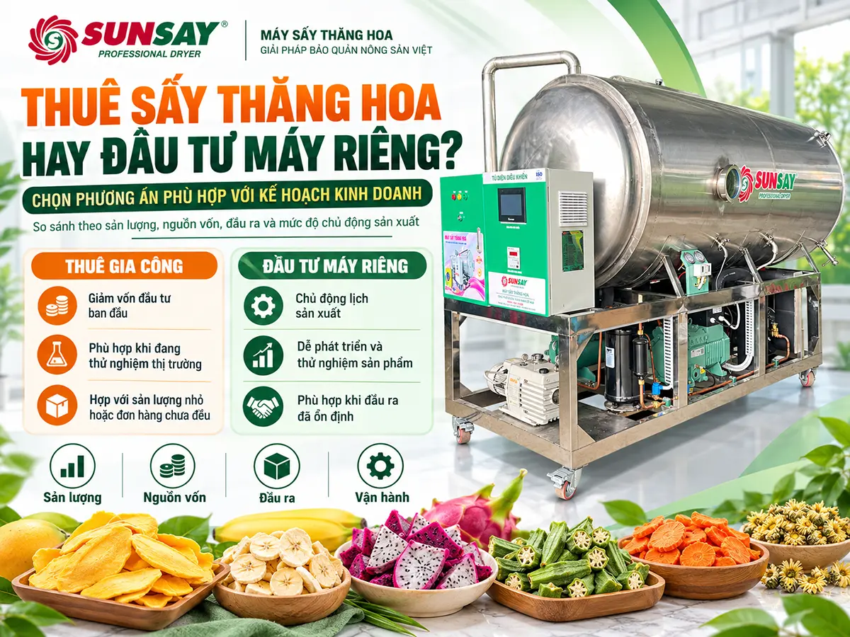 Nên thuê sấy thăng hoa hay đầu tư máy riêng cần được cân nhắc từ sản lượng thực tế, nguồn vốn và mức độ ổn định của đầu ra.